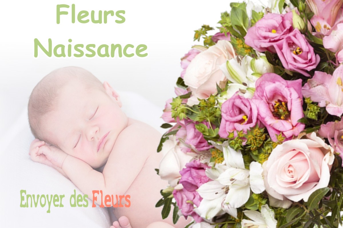 lIVRAISON FLEURS NAISSANCE à SAINT-PE-DELBOSC